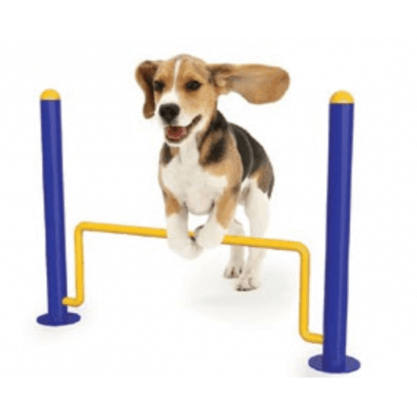 Canine Dog Circuit - SETDOG01